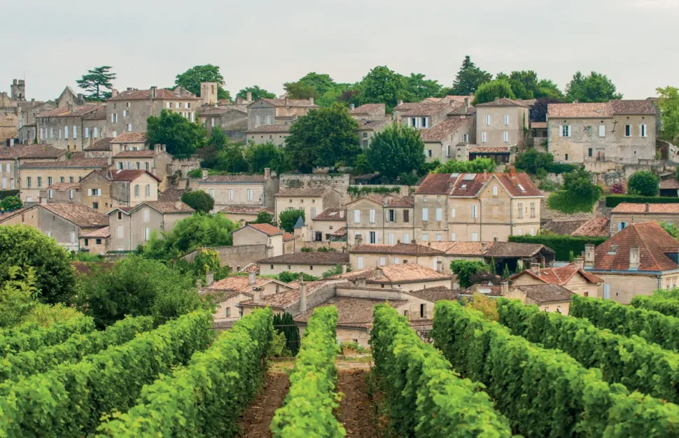 Jaunums! Bordo, austeru un vīna ceļš, konjaks un citi gardumi! Gardēžiem!