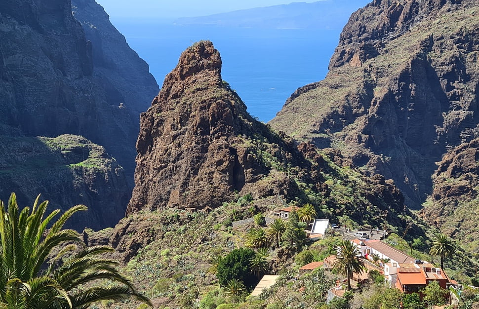Tenerife, kur allaž pavasaris